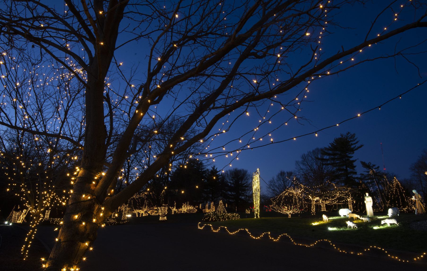 Way of Lights holiday light display at the National Shrine of Our Lady of the Snows